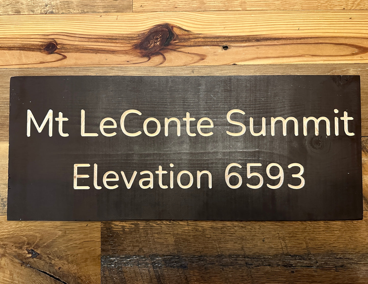 Mt LeConte Summit