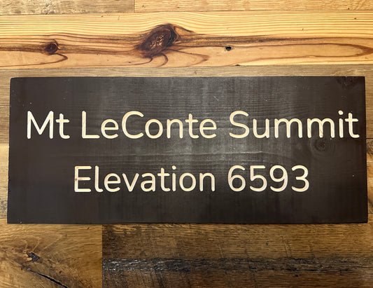 Mt LeConte Summit